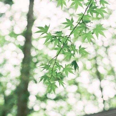 ng体育下载注册