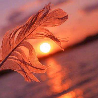 乐鱼游戏app在线登录下载手机版