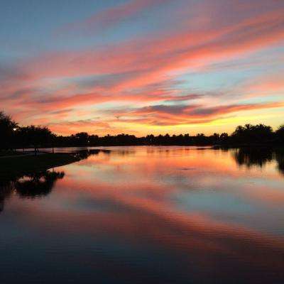 大小单双正规平台下载